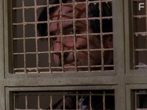 Шпионка (2001)