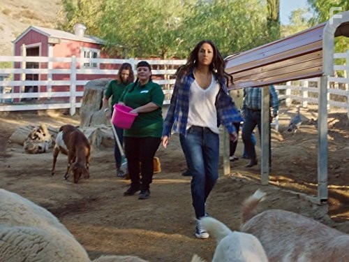 Руководство по выживанию от Купера Баррэта (2016)