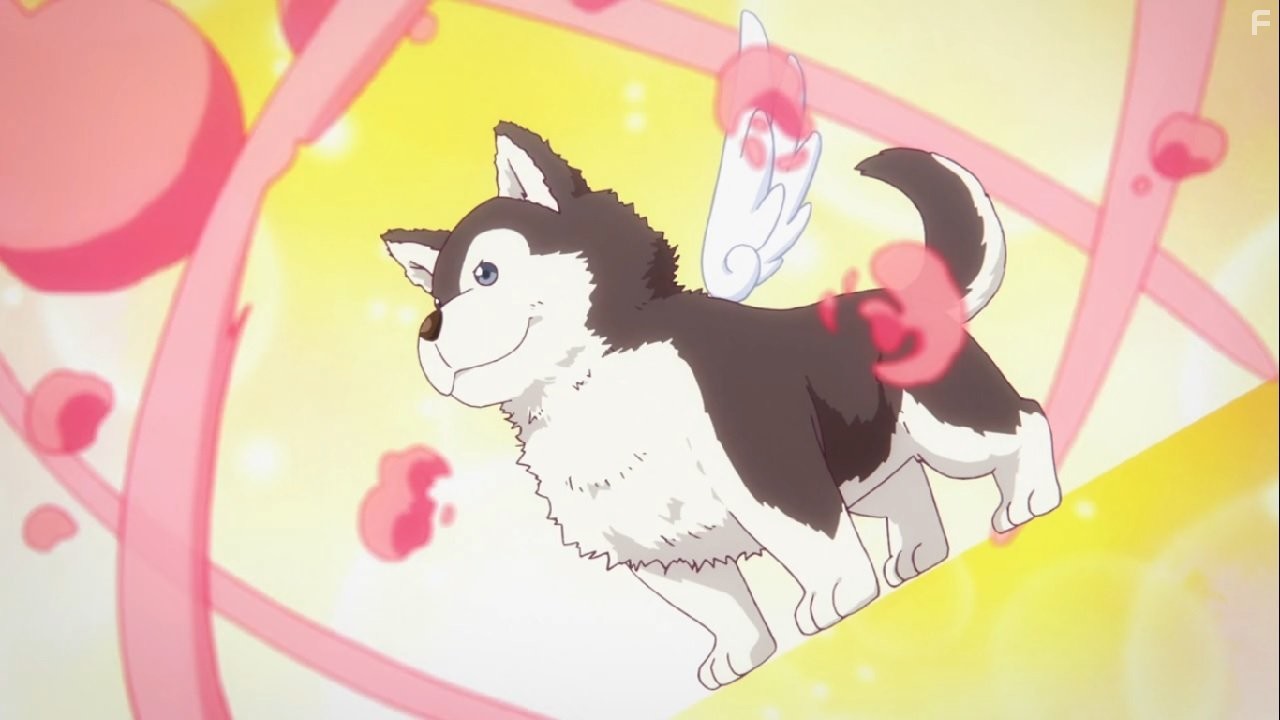 Примарний свiт безмежжя барв (2016)