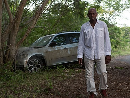 Бешеные псы (2015)