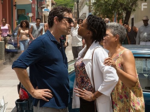 Бешеные псы (2015)