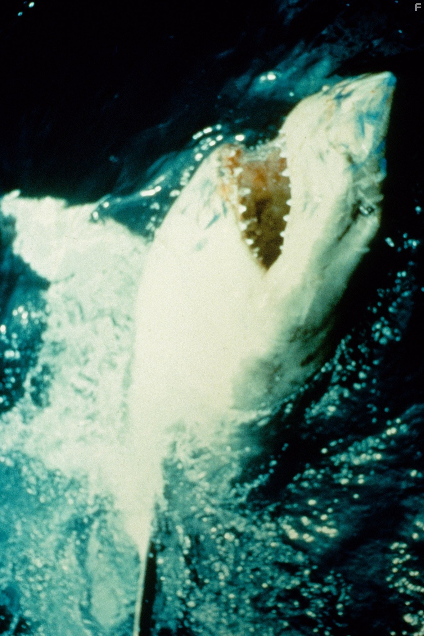 Чeлюсти (1975)