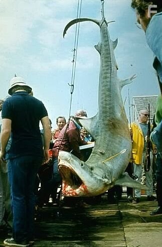 Чeлюсти (1975)