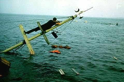 Roy Scheider in Чeлюсти (1975)