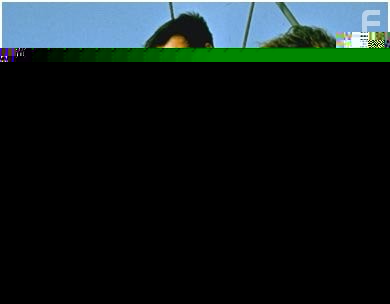 Richard Dreyfuss, Roy Scheider, and Robert Shaw in Чeлюсти (1975)