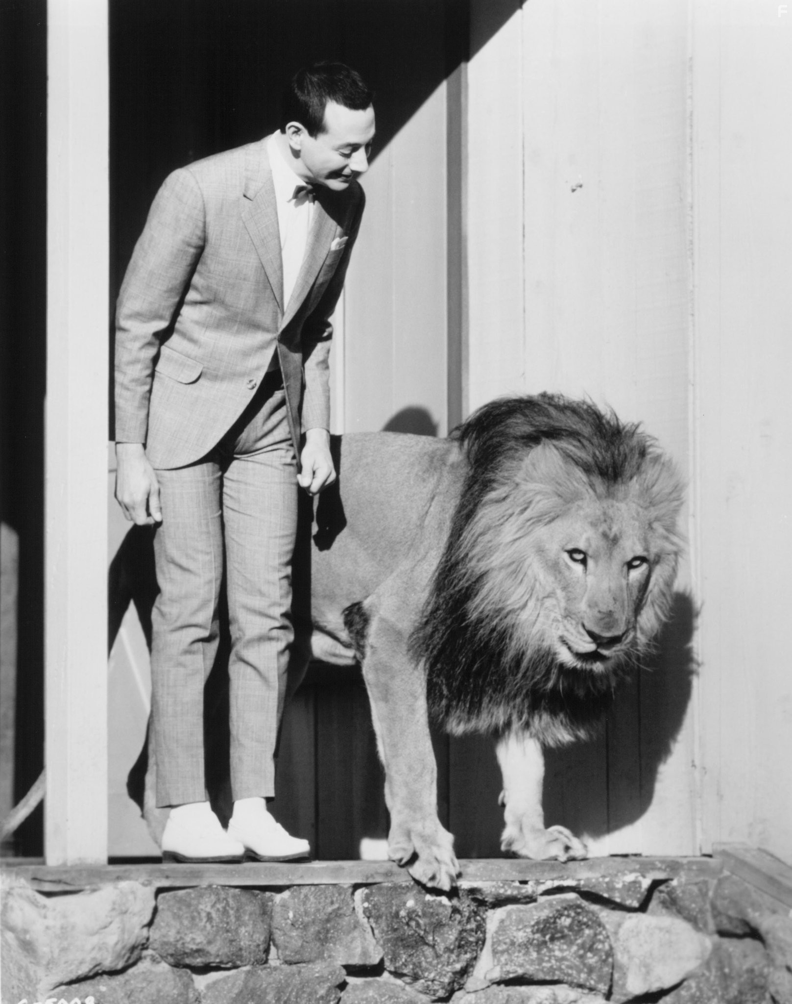 Paul Reubens in Коротышка - большая шишка (1988)