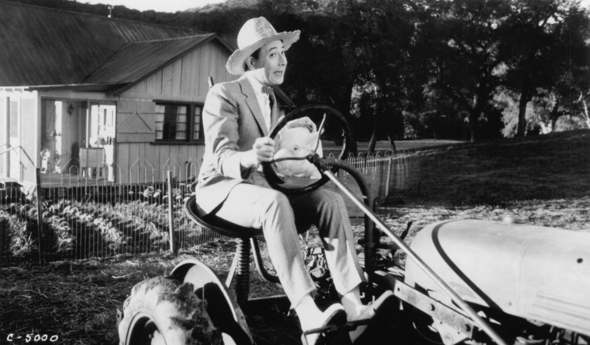 Paul Reubens in Коротышка - большая шишка (1988)