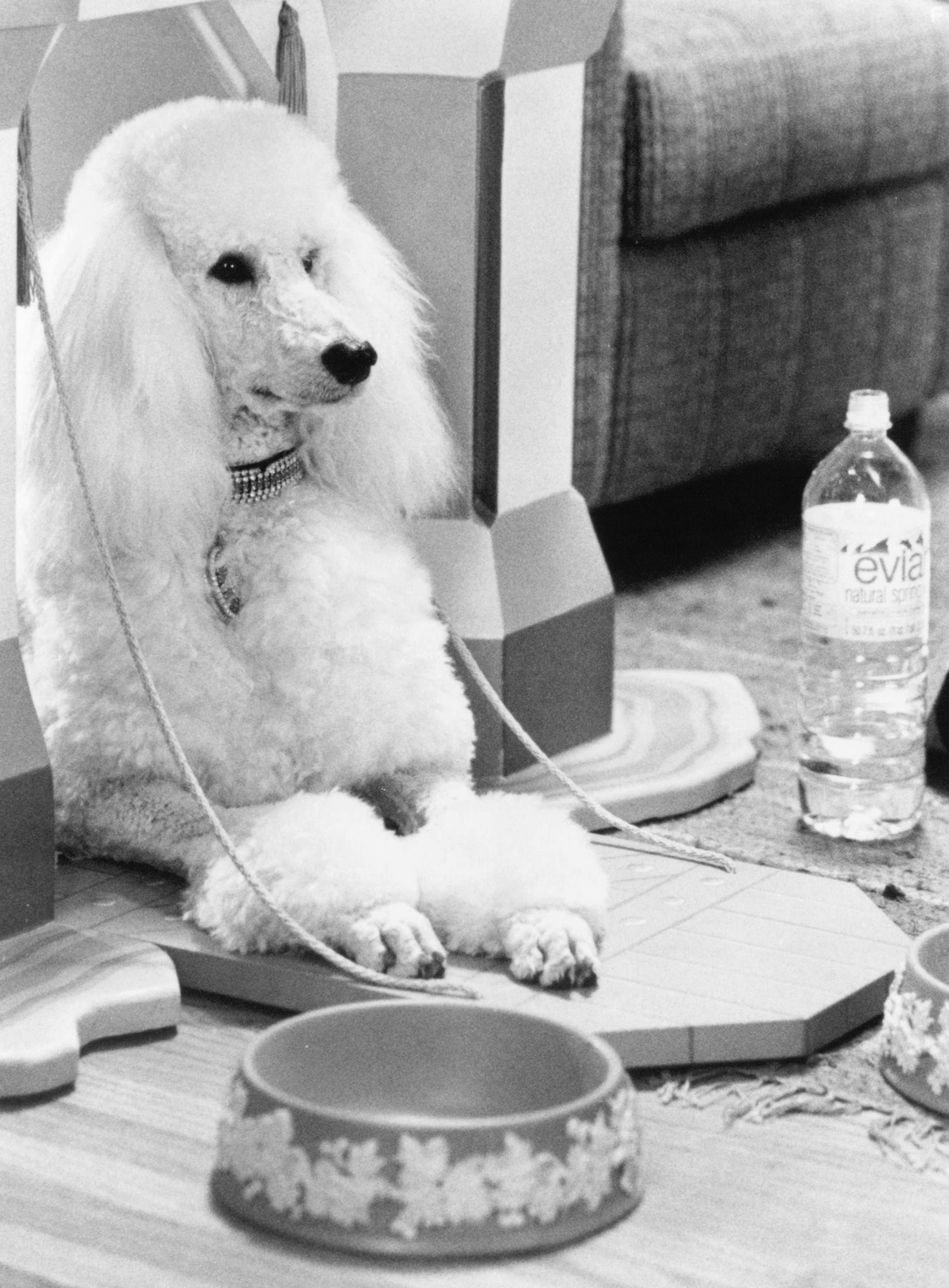 Уж кто бы говорил 3 (1993)