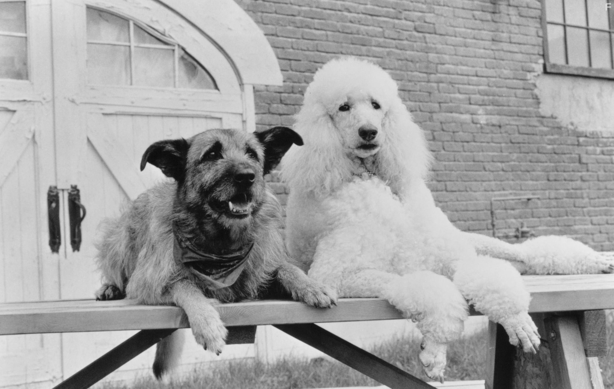 Уж кто бы говорил 3 (1993)