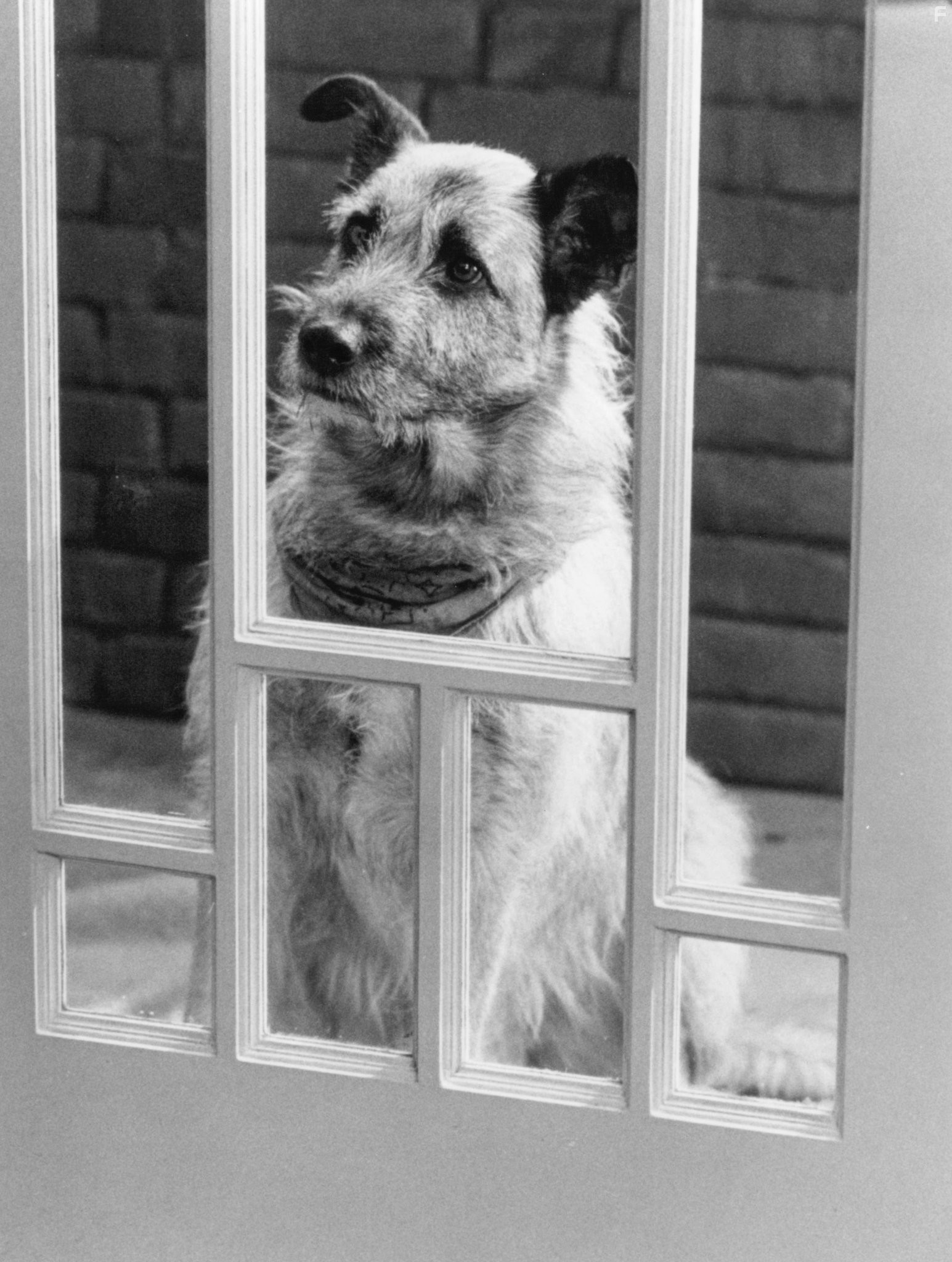 Уж кто бы говорил 3 (1993)