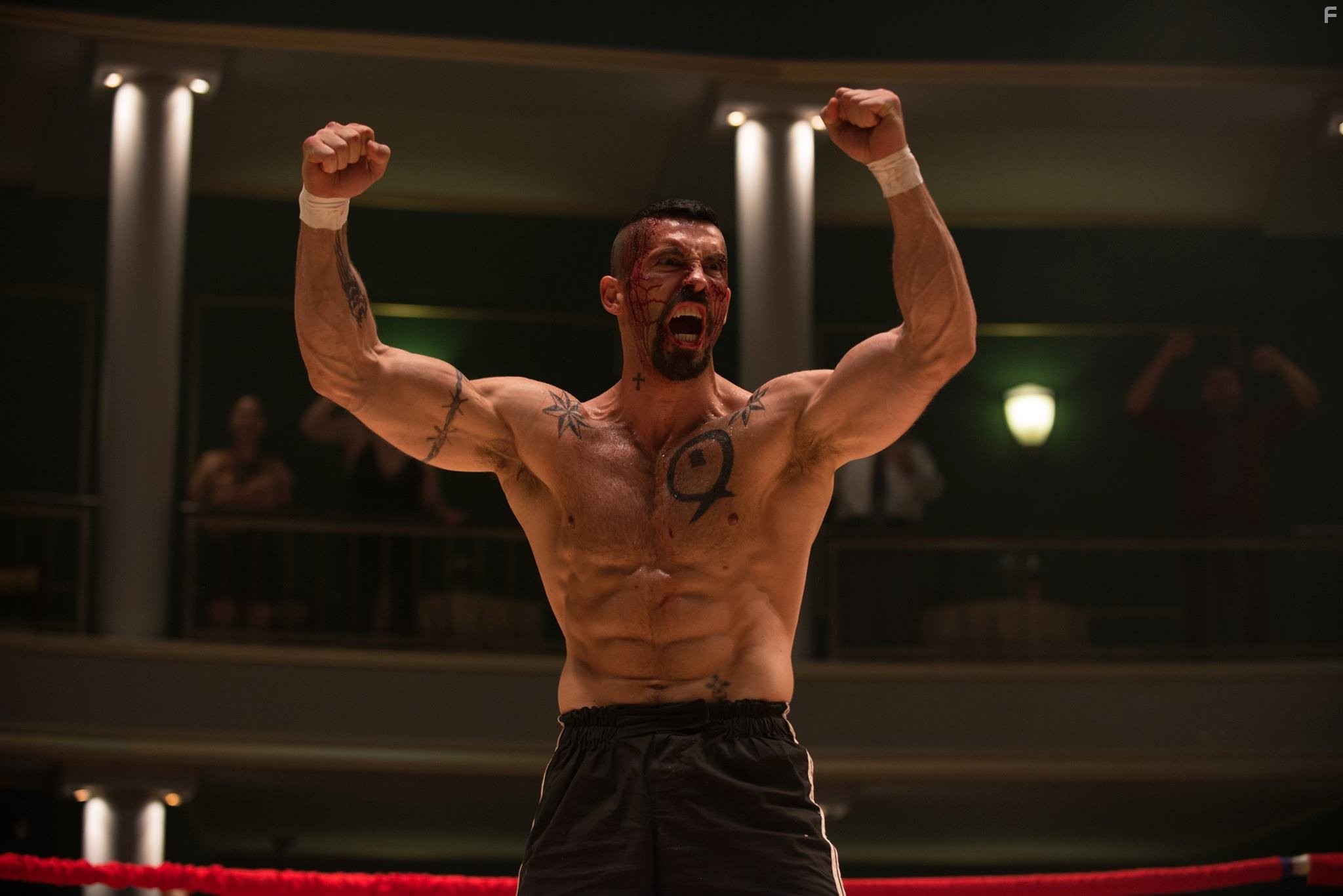 Scott Adkins in Бойка: Неоспоримый (2016)