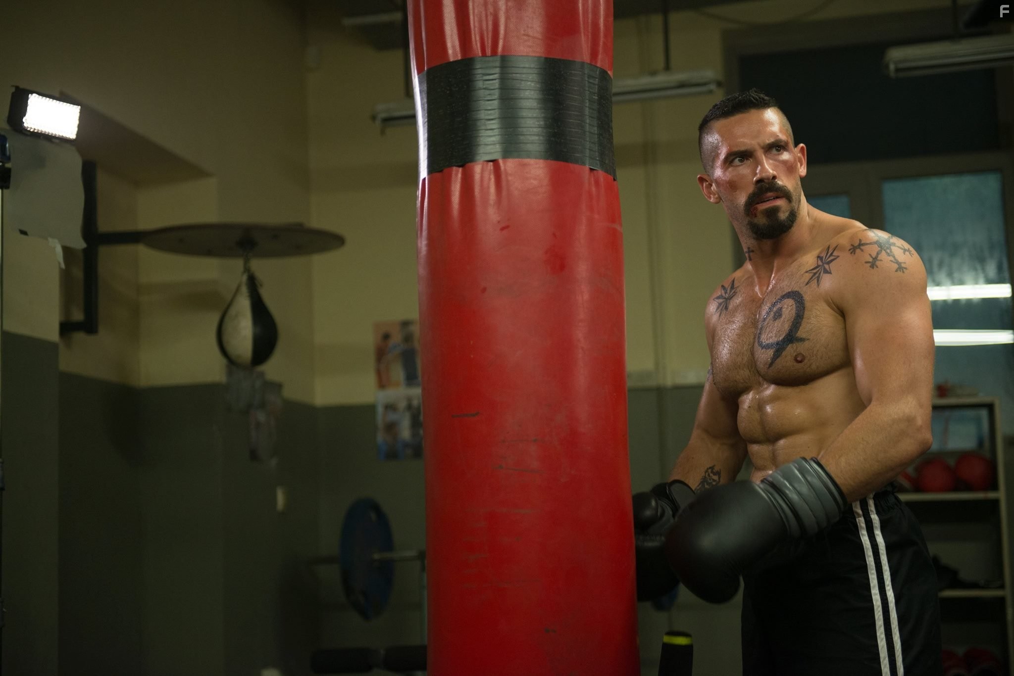 Scott Adkins in Бойка: Неоспоримый (2016)