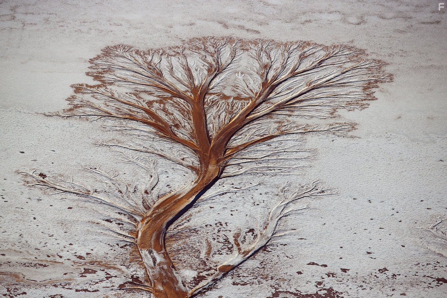 Salar de Uyuni on the Bolivian high plateau, Daniel Campos Province, Potosi?, Bolivia (20° 12? S 67° 36? W)