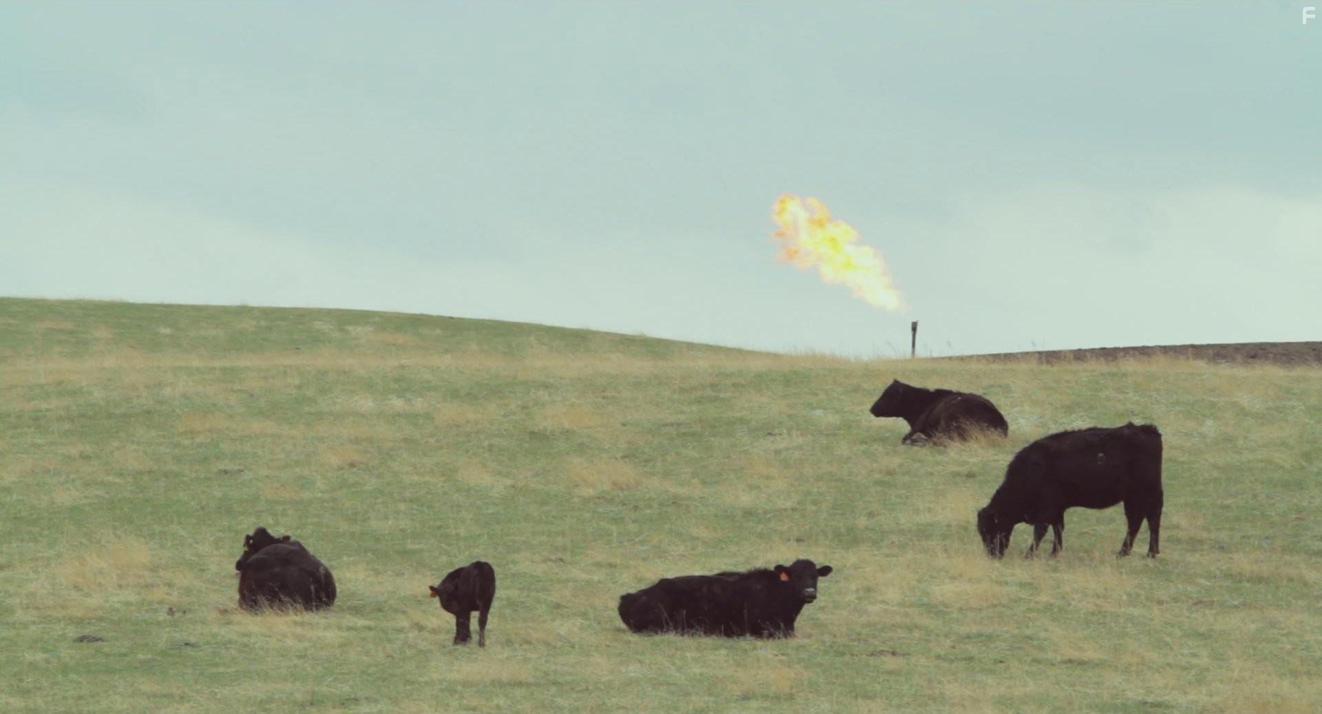 Black Harvest (2014)