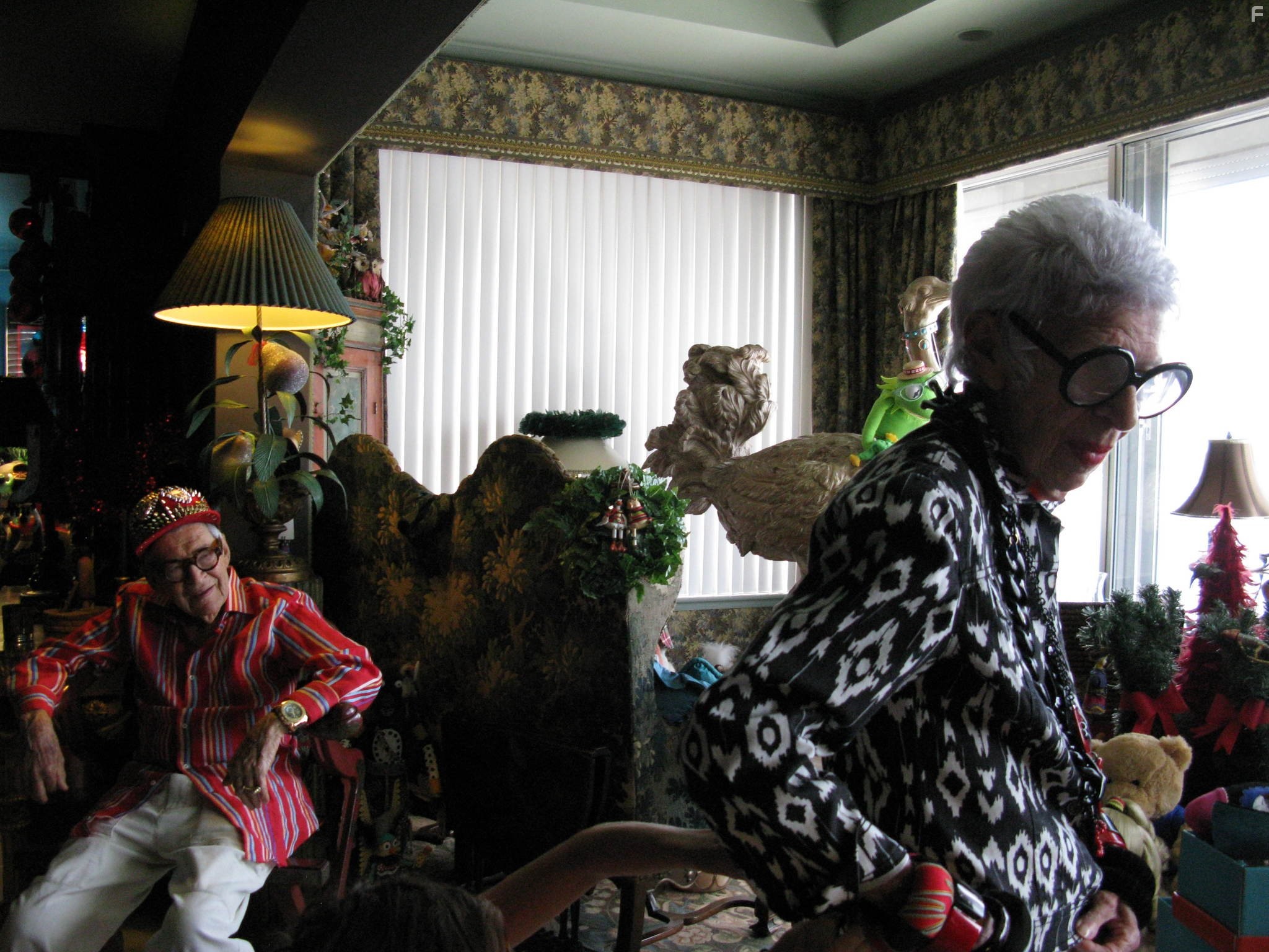 Iris Apfel in Айрис (2014)