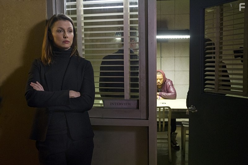 Bridget Moynahan in Голубая кровь (2010)