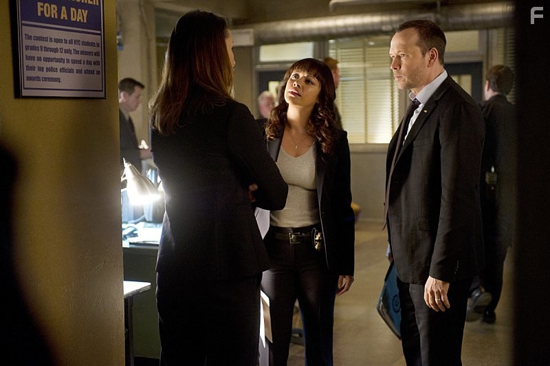 Bridget Moynahan, Donnie Wahlberg, and Marisa Ramirez in Голубая кровь (2010)