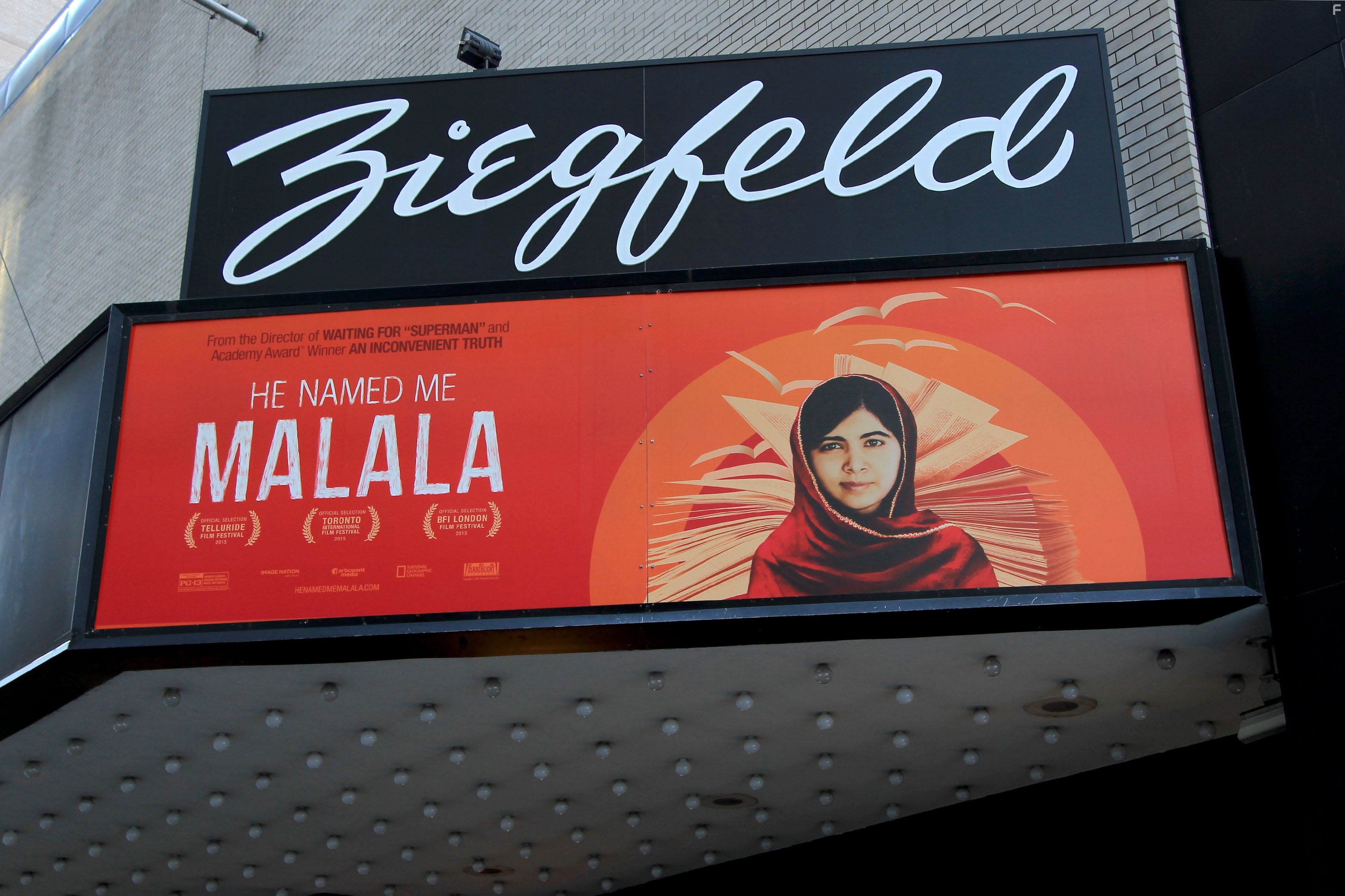 Он назвал меня Малала (2015)