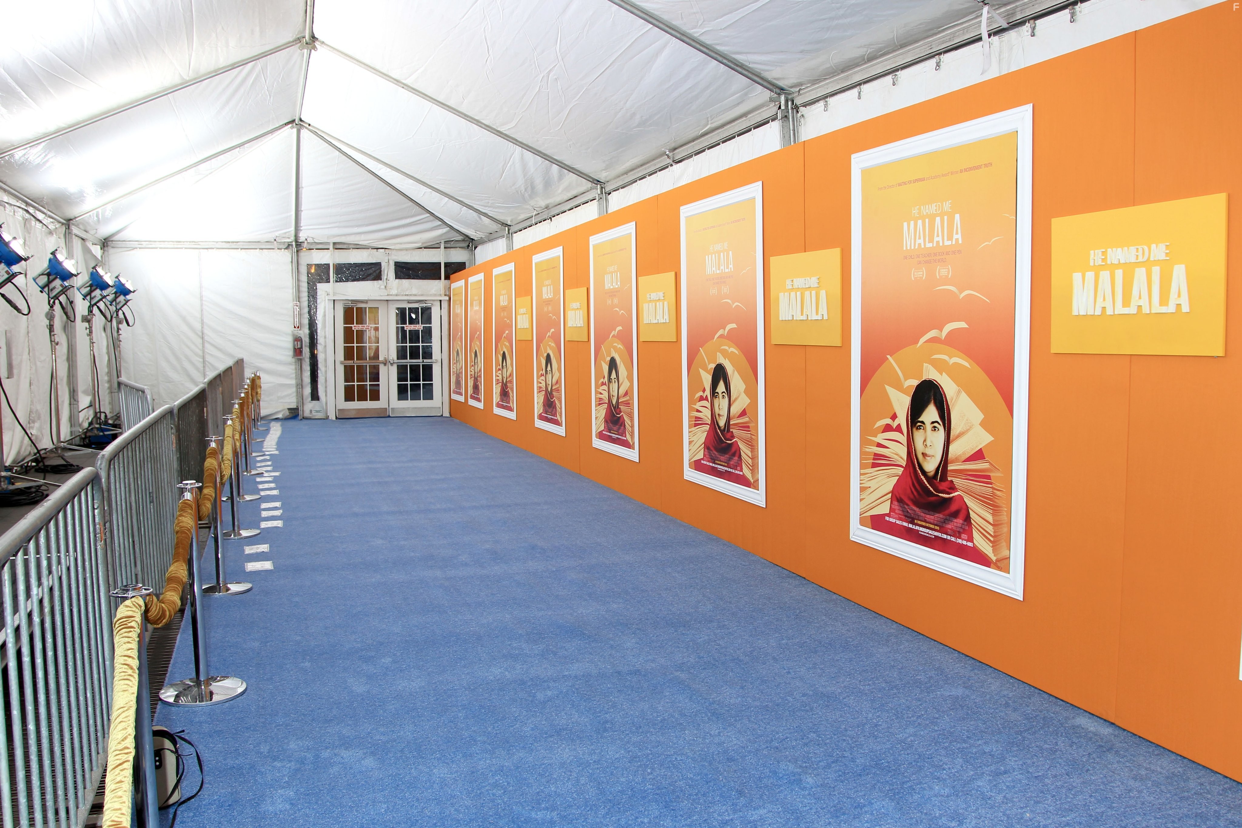 Он назвал меня Малала (2015)