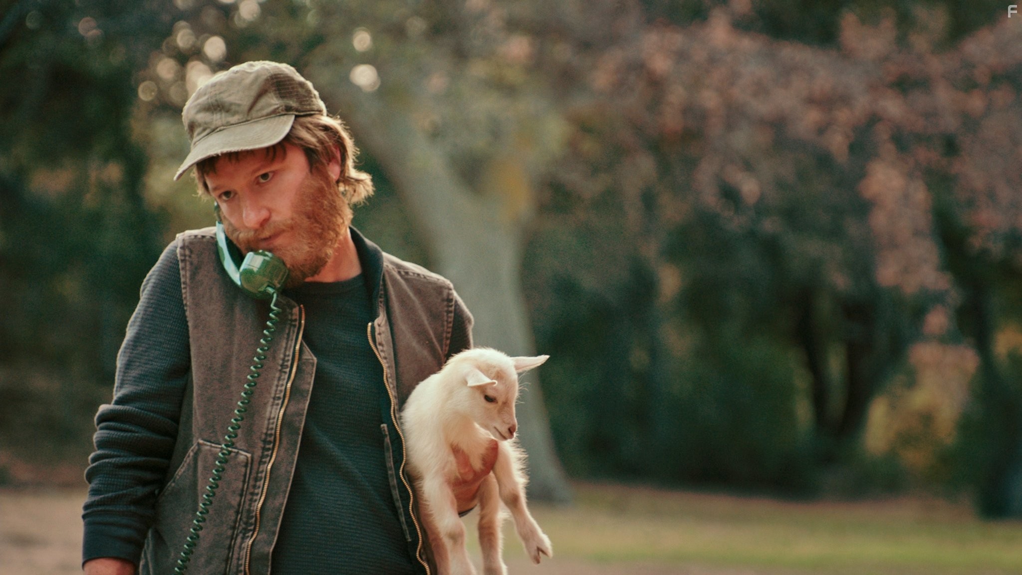 Akiva Schaffer in Поп-звезда: Не переставай, не останавливайся (2016)