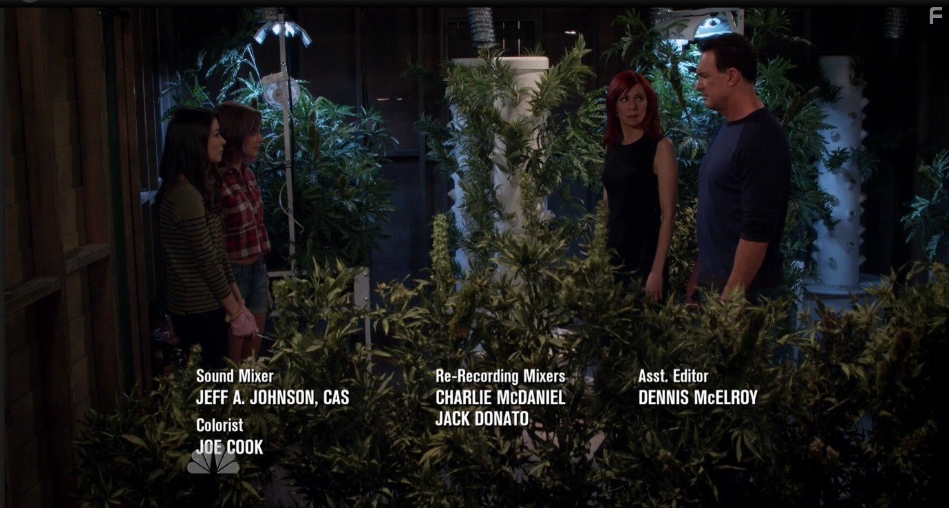 Carrie Preston, Patrick Warburton, Miranda Cosgrove, and Mia Serafino in Crowded (2016)