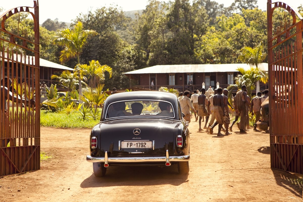 Пальмы в снегу (2015)