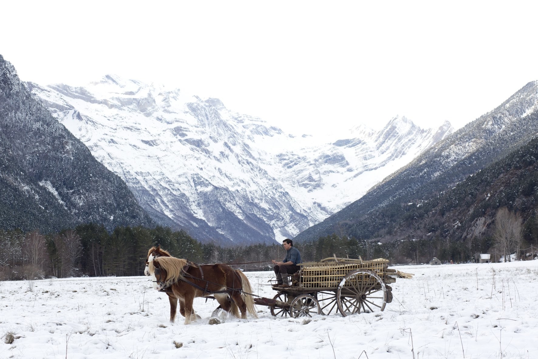 Mario Casas in Пальмы в снегу (2015)