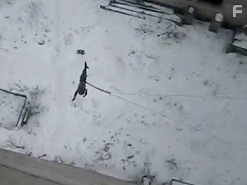 Outrageous Acts of Science (2012)