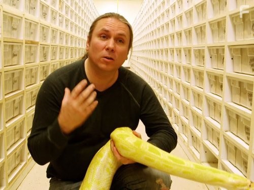 Outrageous Acts of Science (2012)