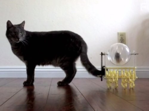 Outrageous Acts of Science (2012)