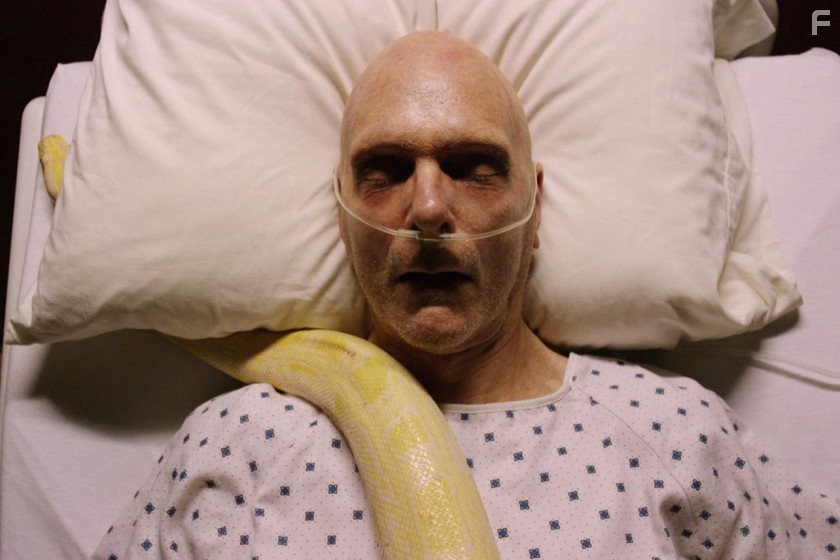 Keir Dullea in Путь (2016)