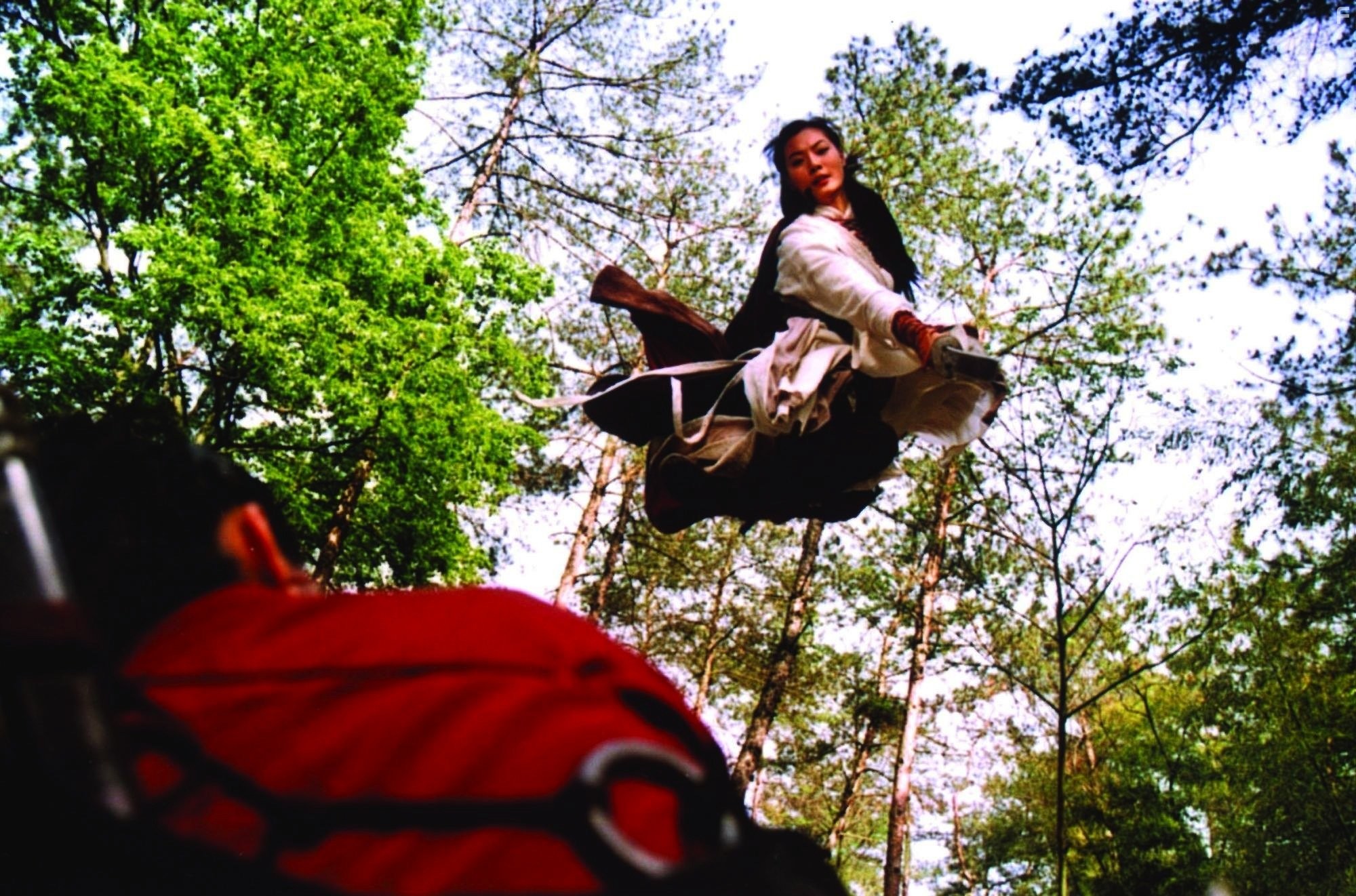 Призрачный меч (2005)