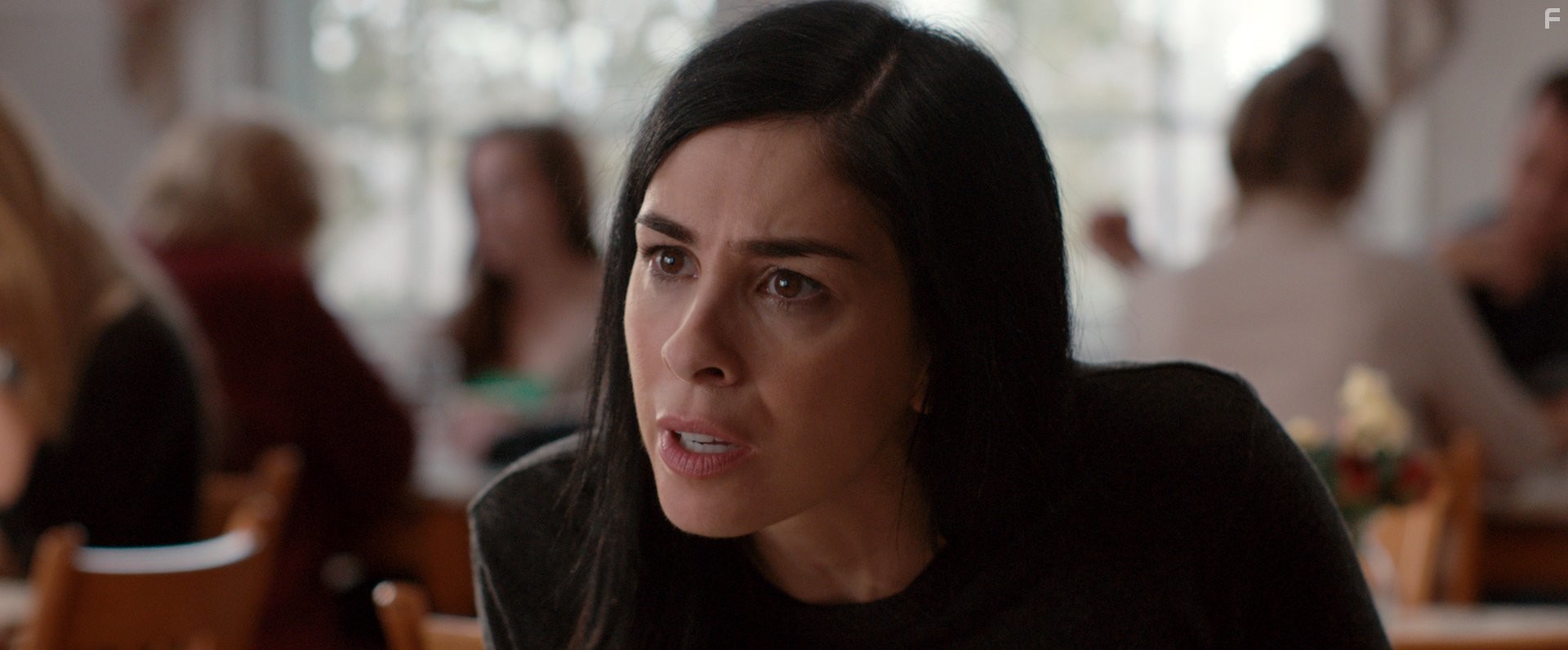 Sarah Silverman in Я улыбаюсь в ответ (2015)