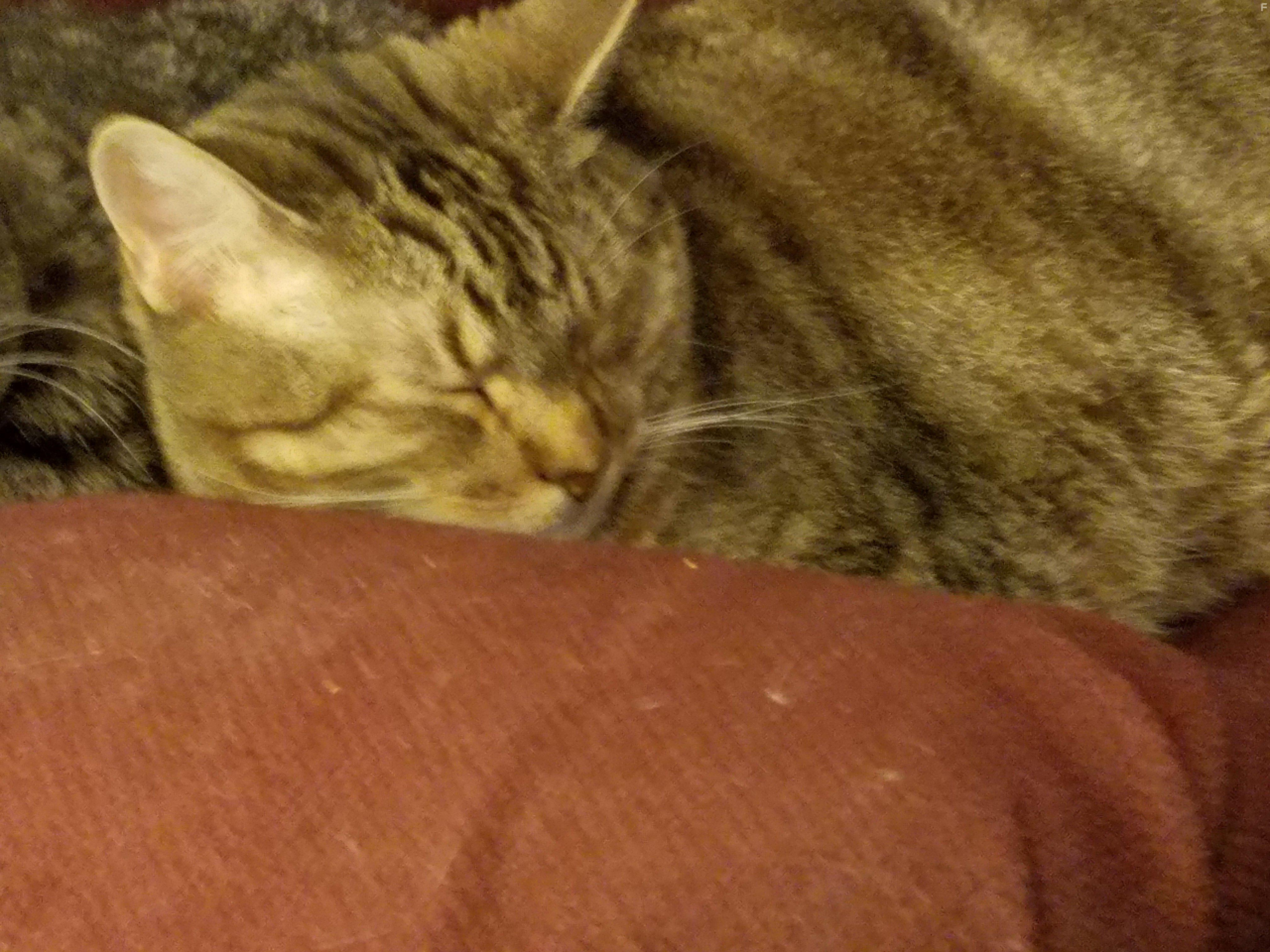 Diesel Brothers (2016)