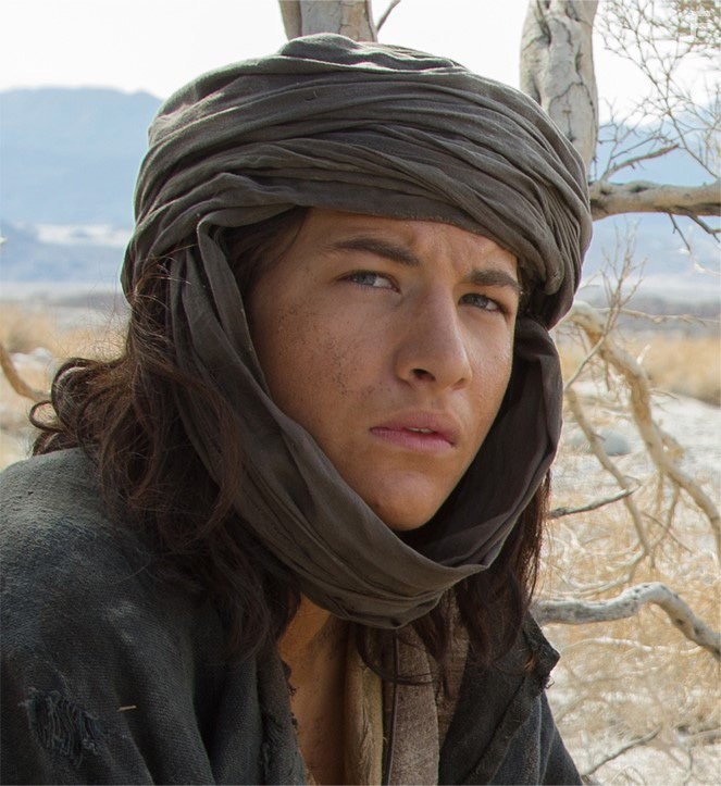 Tye Sheridan in Last Days in the Desert (2015)