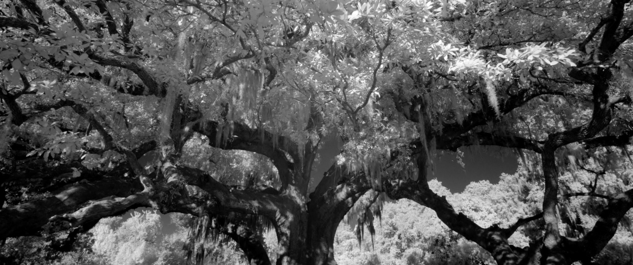 Посетители