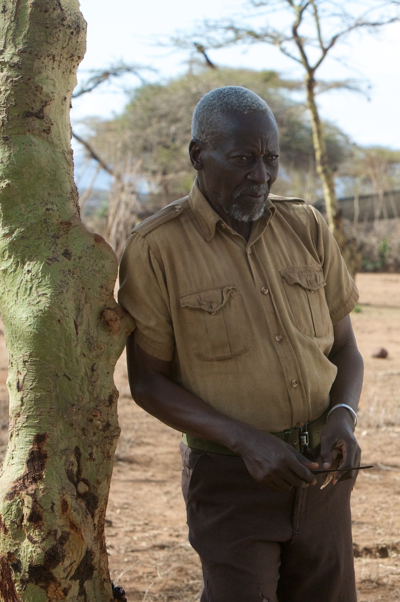 Первопроходец (2010)