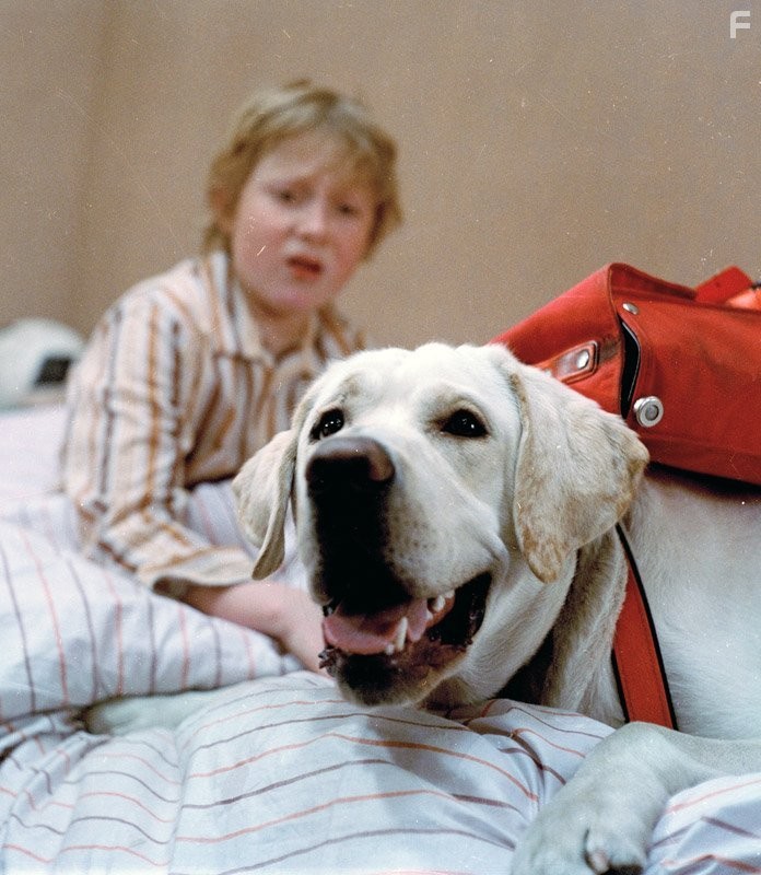 Viktor Kr?l in N?vstevn?ci (1983)