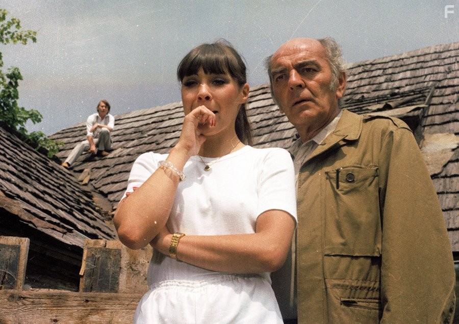 Josef Bl?ha, Dagmar Patrasov?, and Josef Dvor?k in N?vstevn?ci (1983)