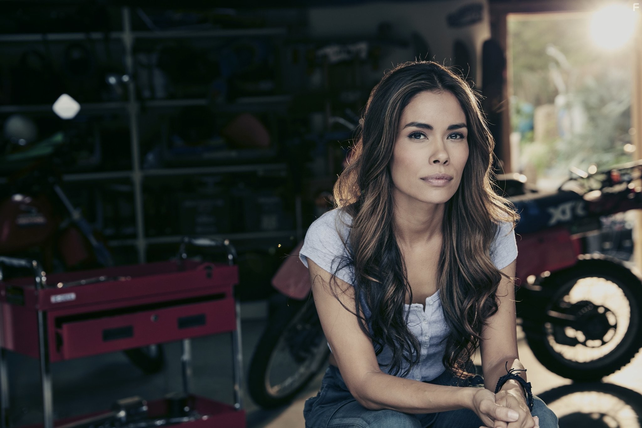 Daniella Alonso in Animal Kingdom (2016)