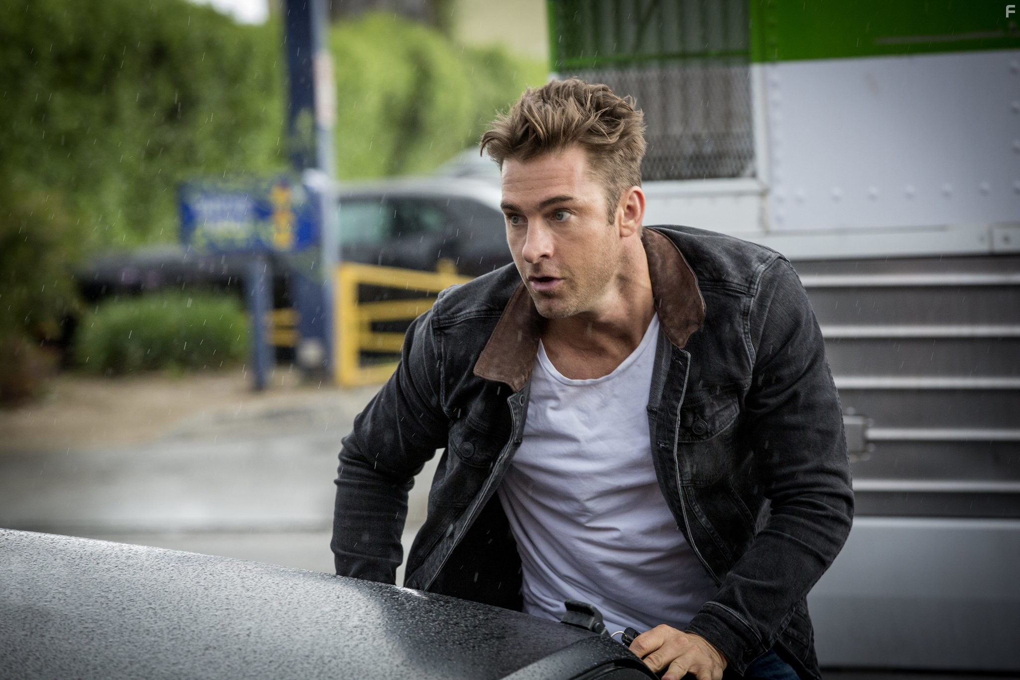 Scott Speedman in Animal Kingdom (2016)
