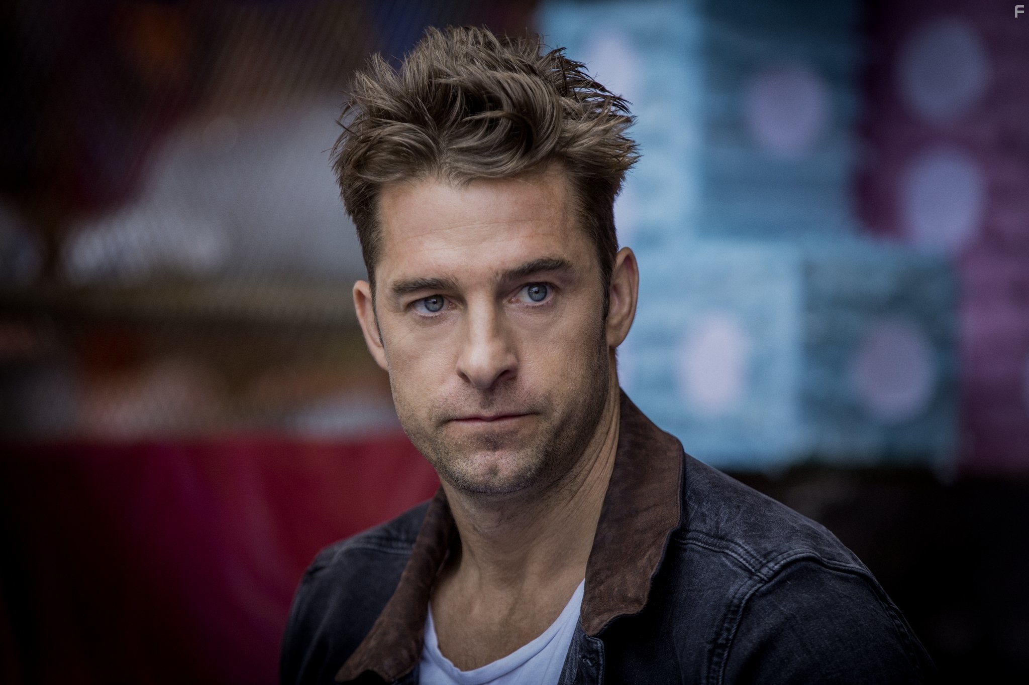 Scott Speedman in Animal Kingdom (2016)