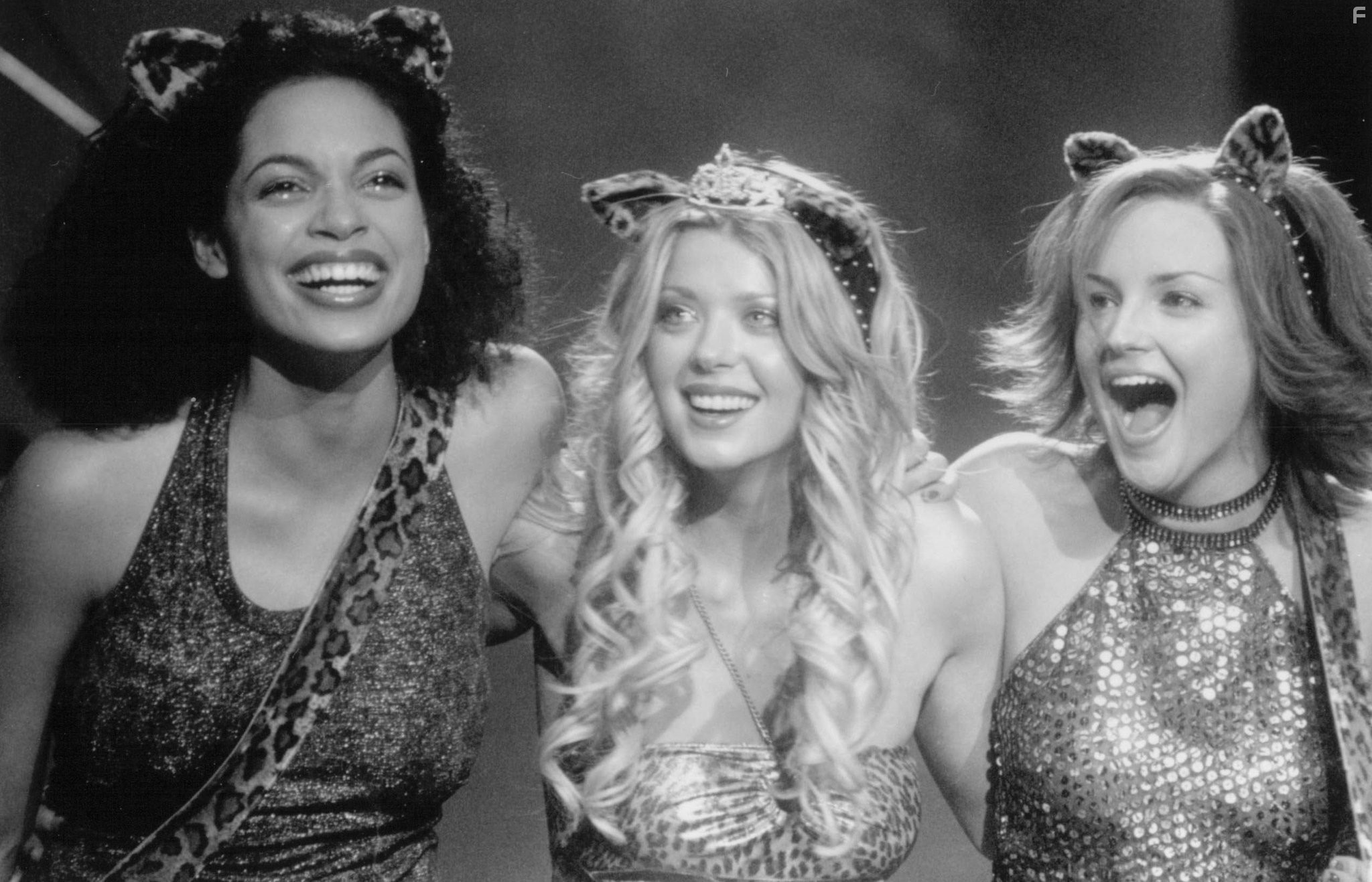 Rachael Leigh Cook, Tara Reid, and Rosario Dawson in Джози и кошечки (2001)