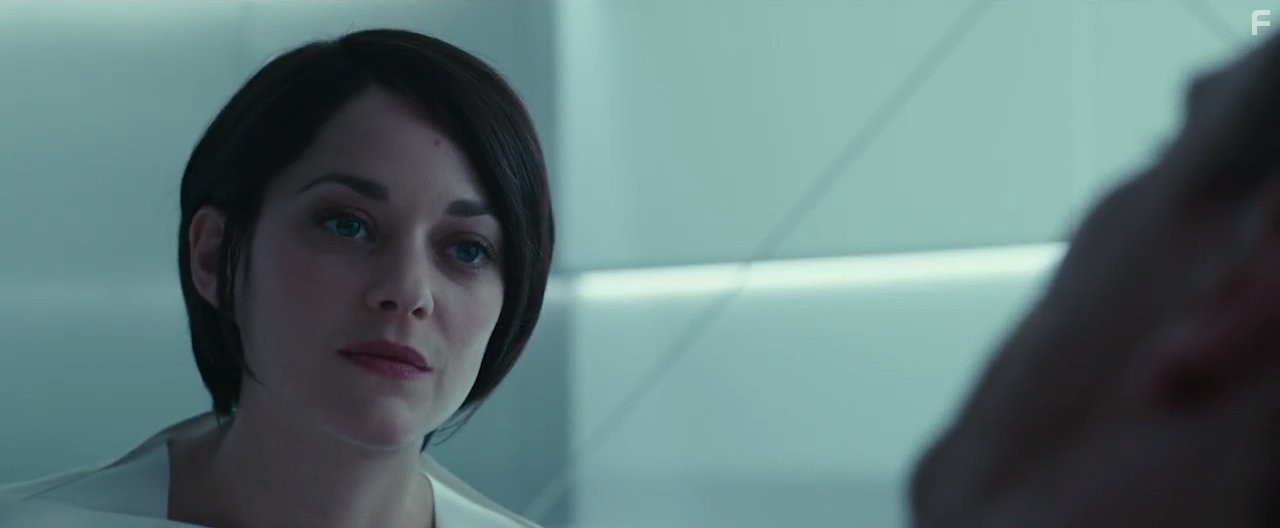 Marion Cotillard and Michael Fassbender in Кредо убийцы (2016)