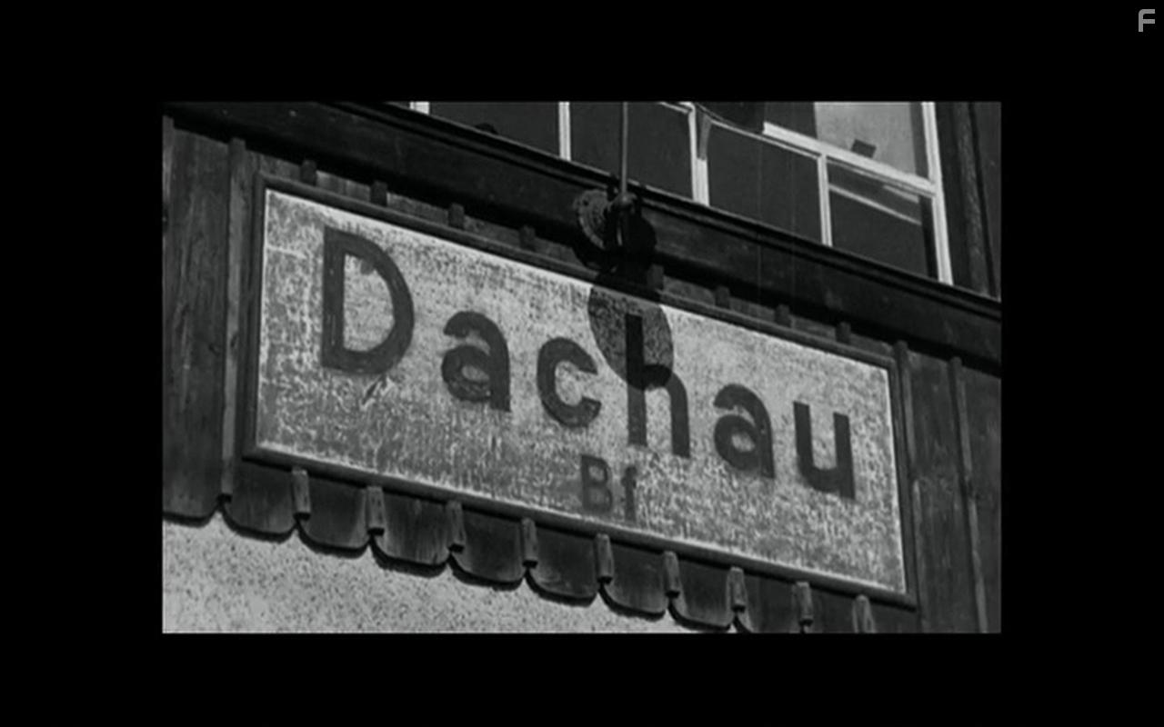 Night Will Fall (2014)