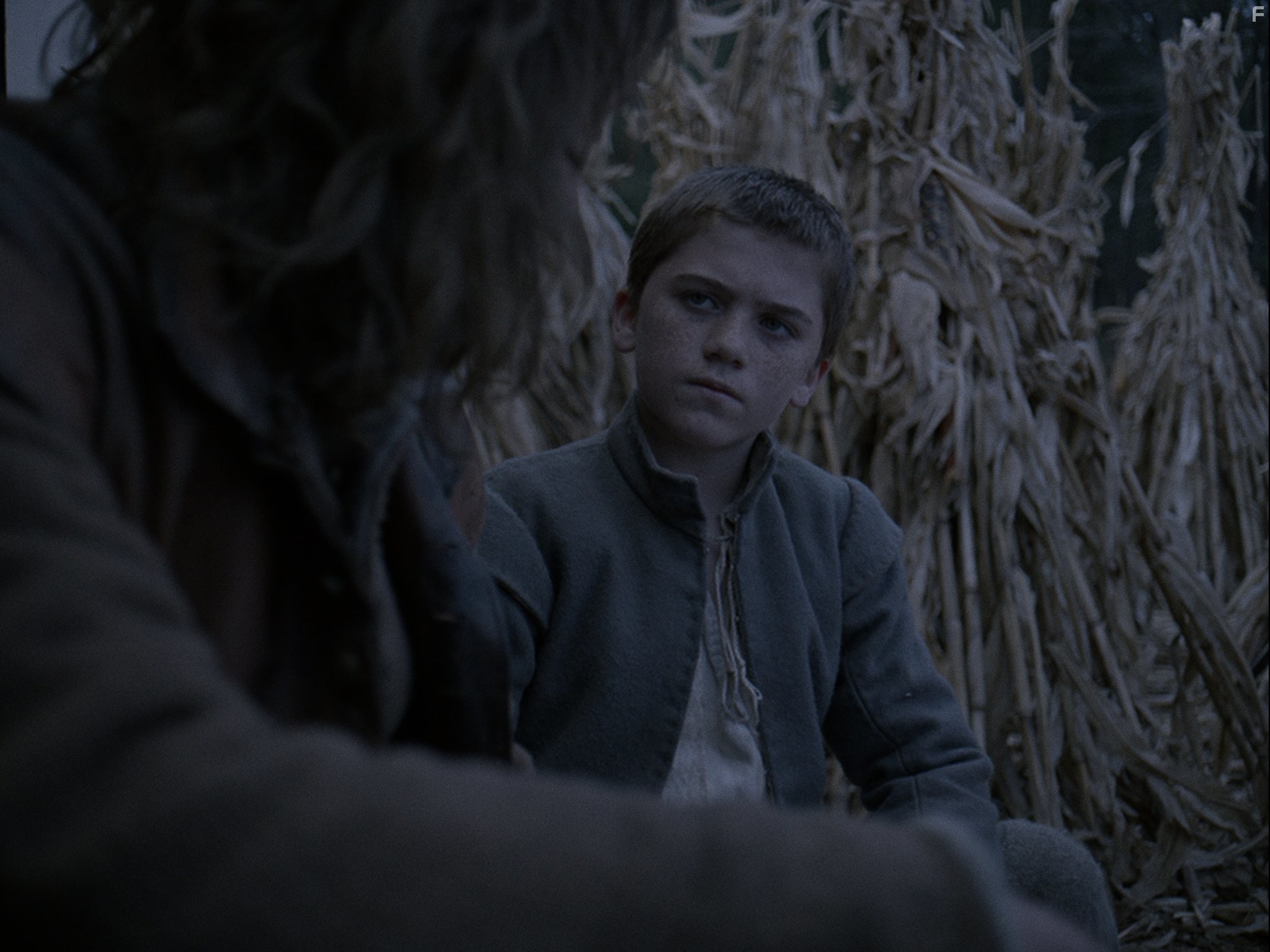 Harvey Scrimshaw in Ведьма (2015)