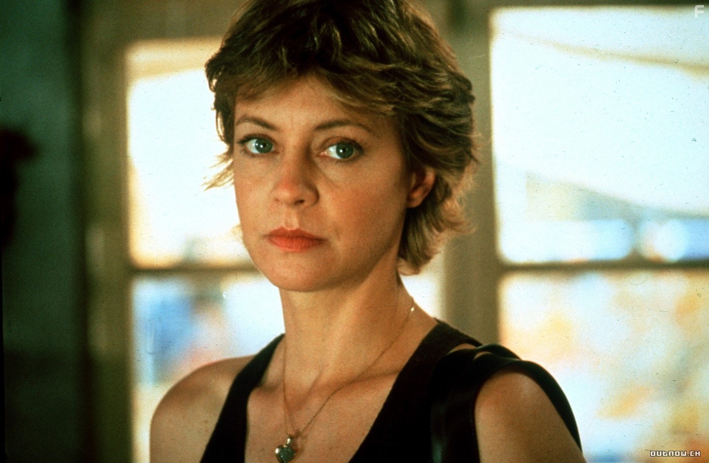 Феерия непонимания