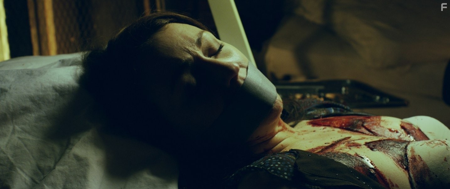 Don't Look in the Basement 2 (2015)