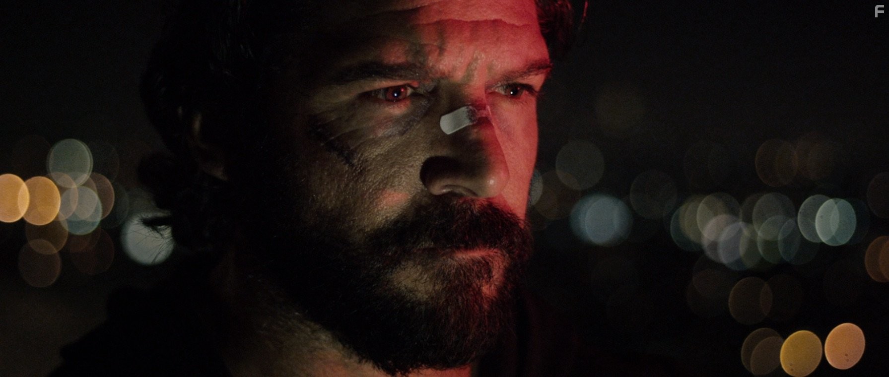 Vigilante Diaries (2016)