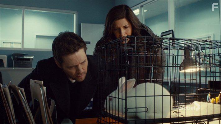 Jason Priestley and Cindy Sampson in Private Eyes (2016)